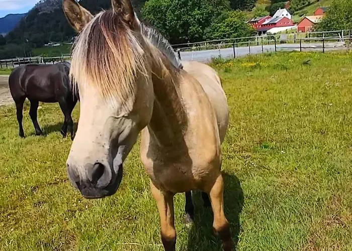 펜션 Nesvika 5 Bedroom Home, Only 25 Min From