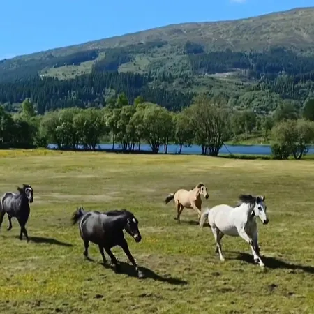 Nesvika 5 Bedroom Home, Only 25 Min From برغن