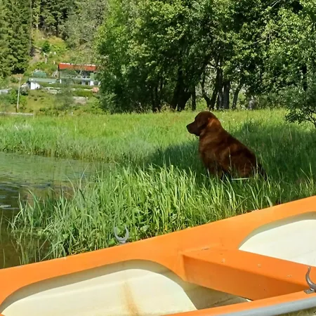 Nesvika 5 Bedroom Home, Only 25 Min From *