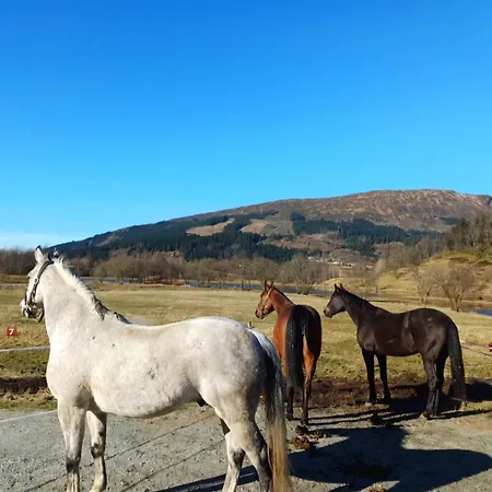 Holiday home Nesvika 5 Bedroom Home, Only 25 Min From *