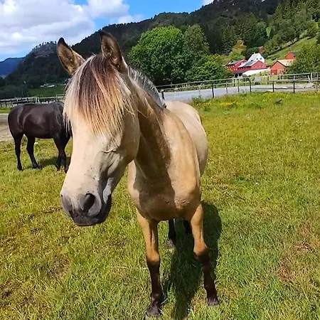 بيت للعطل Nesvika 5 Bedroom Home, Only 25 Min From