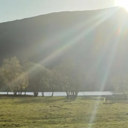 Nesvika 5 Bedroom Home, Only 25 Min From * برغن