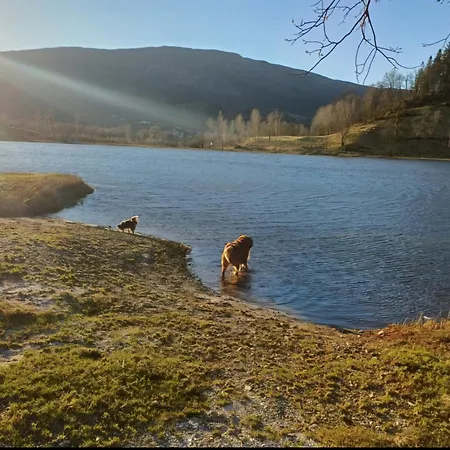 Nesvika Nature Reserve Home, Only 25 Min From 度假居 *