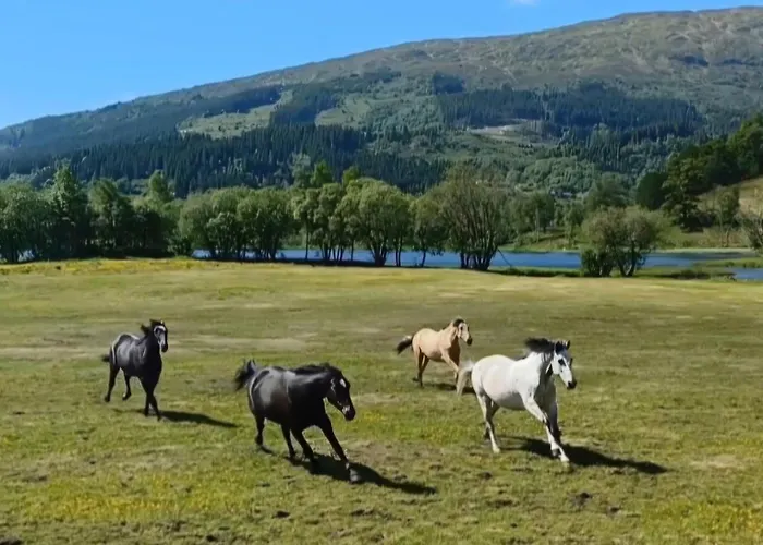 Nesvika 5 Bedroom Home, Only 25 Min From Μπέργκεν