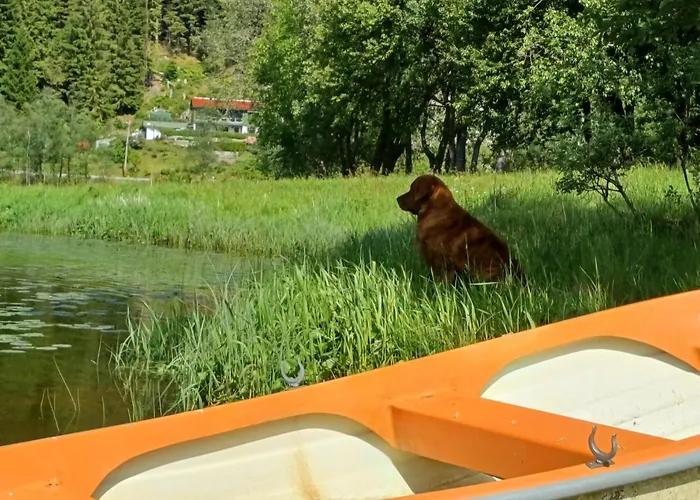 Nesvika 5 Bedroom Home, Only 25 Min From *