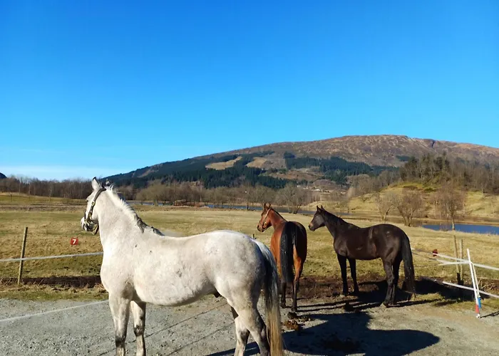 Holiday home Nesvika 5 Bedroom Home, Only 25 Min From *