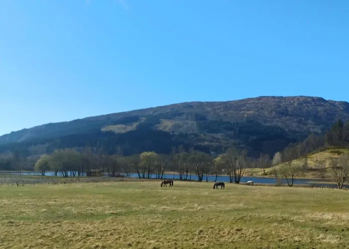 Nesvika 5 Bedroom Home, Only 25 Min From *