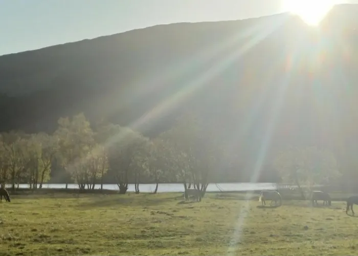 Nesvika 5 Bedroom Home, Only 25 Min From * Bergen